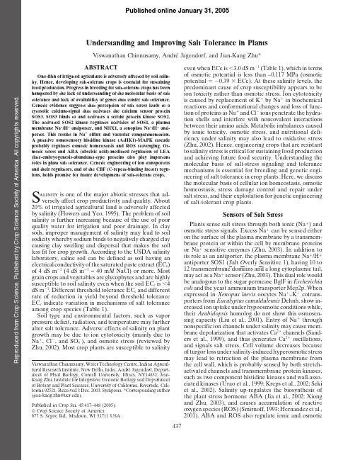 understanding and improving salt tolerance in plants