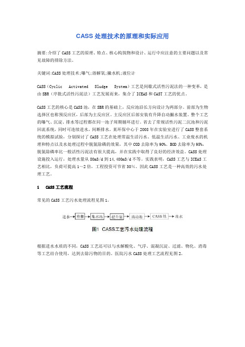 CASS处理技术的原理和实际应用