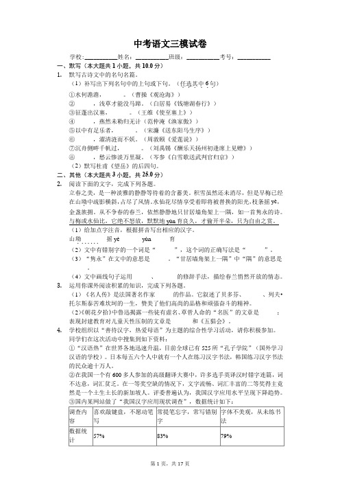 安徽省中考语文三模试卷-(含答案)