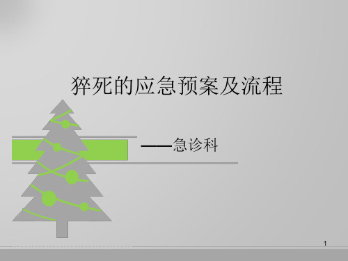 猝死应急预案PPT参考幻灯片