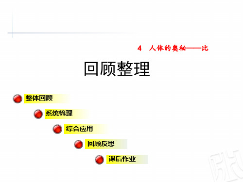 【青岛版】六上数学：第4单元《人体的奥秘——比》(回顾整理)ppt课件