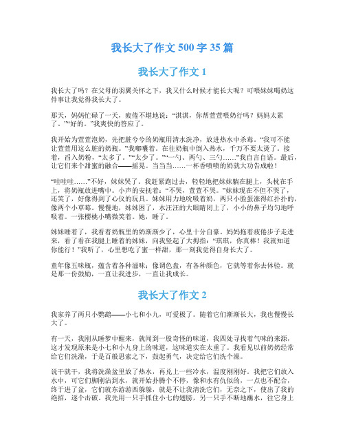 我长大了作文500字35篇