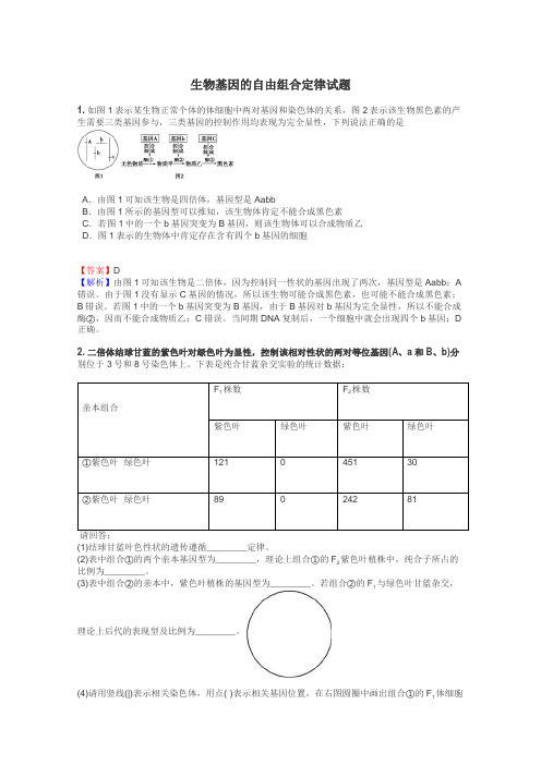 生物基因的自由组合定律试题
