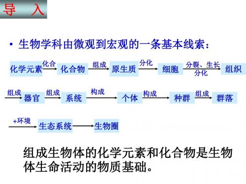 组成细胞的分子ppt1 人教课标版