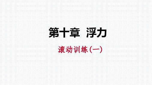 【人教版物理八年级下册】第十章浮力滚动训练(一)