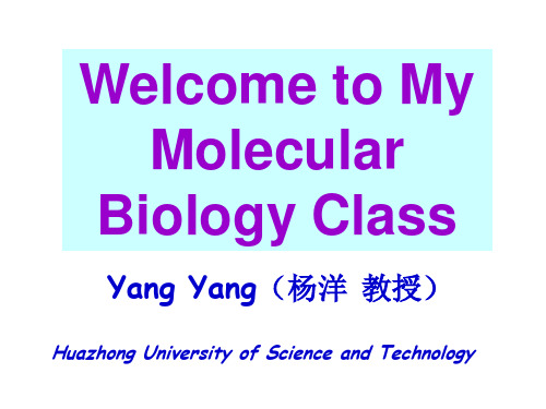 分子生物学(杨洋)第六章 rna剪接-rna splicing