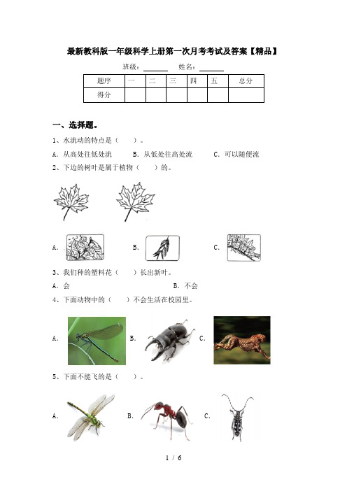 最新教科版一年级科学上册第一次月考考试及答案【精品】