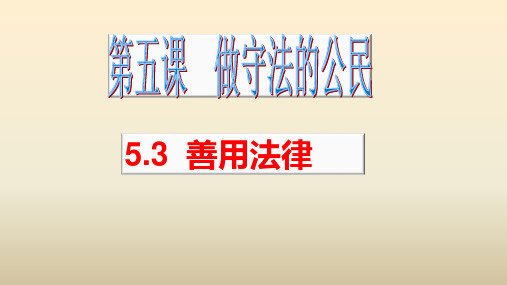 人教版2019年秋道德与法治八年级上册5.3《善用法律》