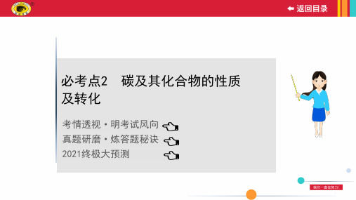 2021年中考化学冲刺复习板块一 必考点2碳及其化合物的性质及转化