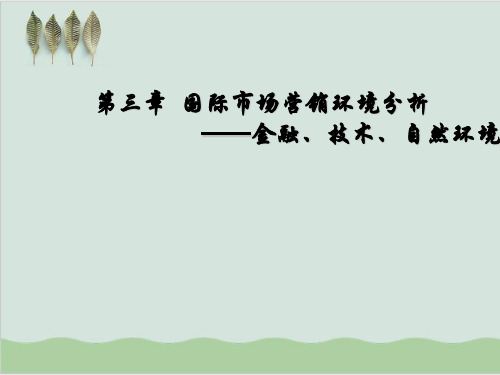 国际市场营销环境分析—金融、技术、自然环境PPT课件( 61页)