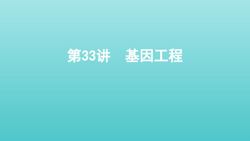 (北京专用)2020版高考生物总复习第33讲基因工程课件