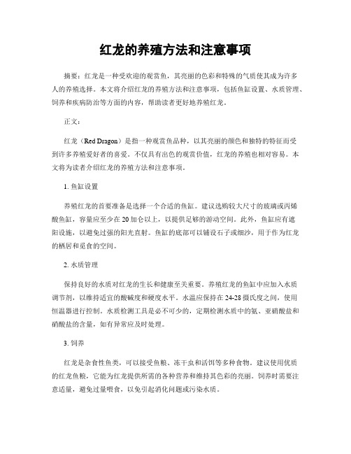 红龙的养殖方法和注意事项