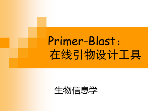 Primer-Blast在线引物设计工具