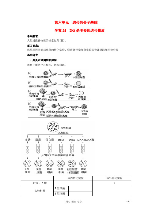 2013届高考生物起点一轮复习 第六单元 DNA是主要的遗传物质学案