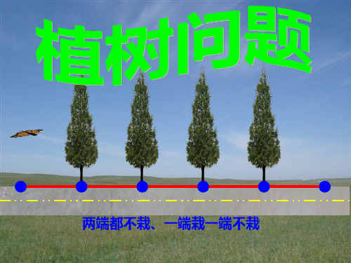 植树问题例2(两端都栽、一端栽一端不栽)