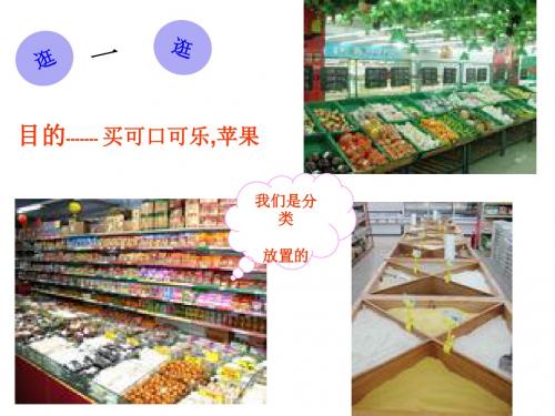 2.4.2《常见的动物》第二课时