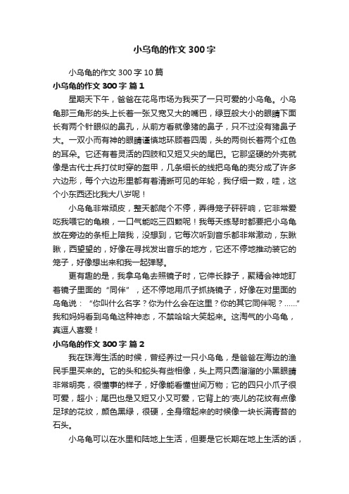 小乌龟的作文300字10篇