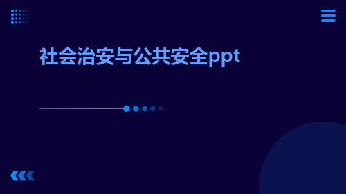 社会治安与公共安全ppt