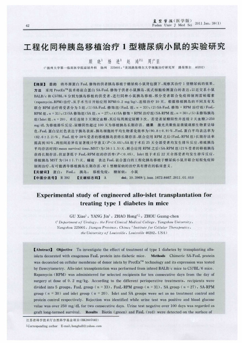 工程化同种胰岛移植治疗1型糖尿病小鼠的实验研究