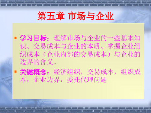 第5章  微观经济学 市场与企业