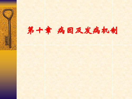 牙髓病、根尖周病病因与发病机制