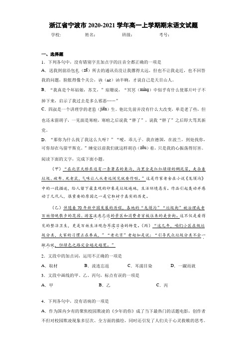 浙江省宁波市2020-2021学年高一上学期期末语文试题 (1)