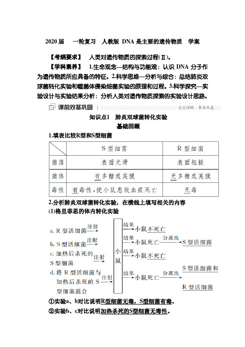 2020届   一轮复习  人教版 DNA是主要的遗传物质  学案.doc