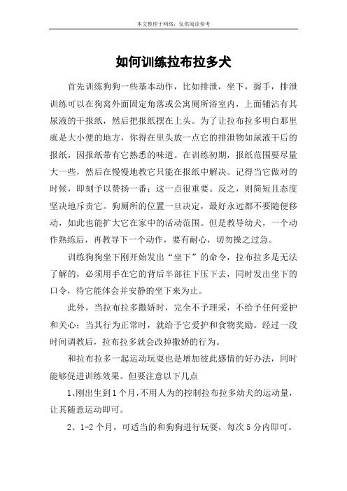 如何训练拉布拉多犬