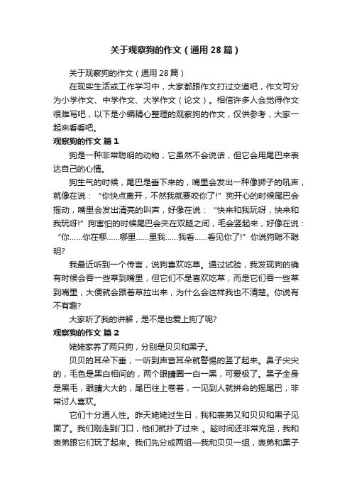 关于观察狗的作文（通用28篇）