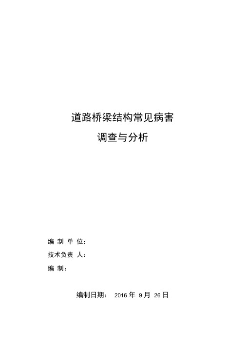 道路桥梁结构常见病害调查及分析报告