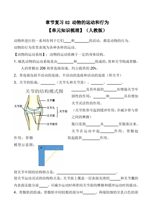 章节复习02 动物的运动和行为(知识梳理)(原卷版)