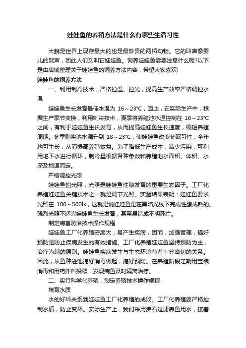 娃娃鱼的养殖方法是什么有哪些生活习性