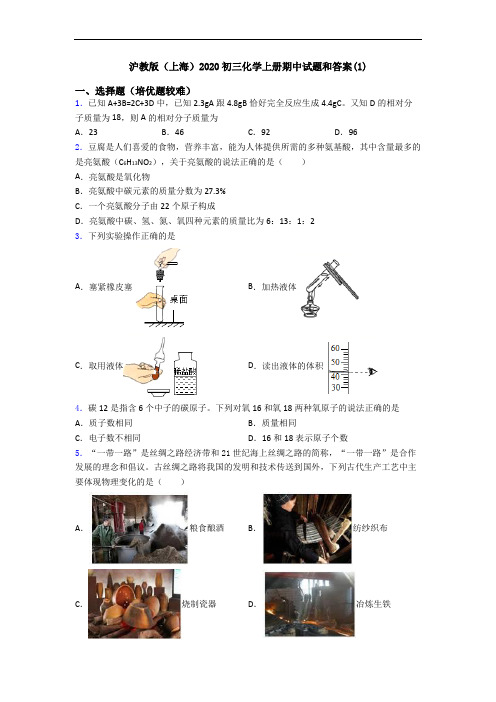 沪教版(上海)2020初三初三化学上册期中试题和答案(1)