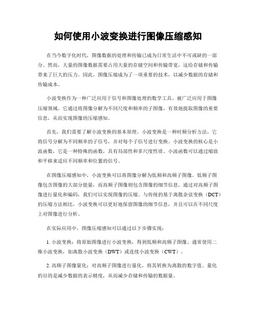 如何使用小波变换进行图像压缩感知