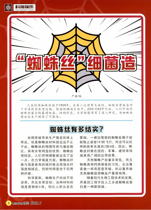 “蜘蛛丝”细菌造