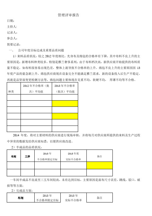 管理评审报告2013