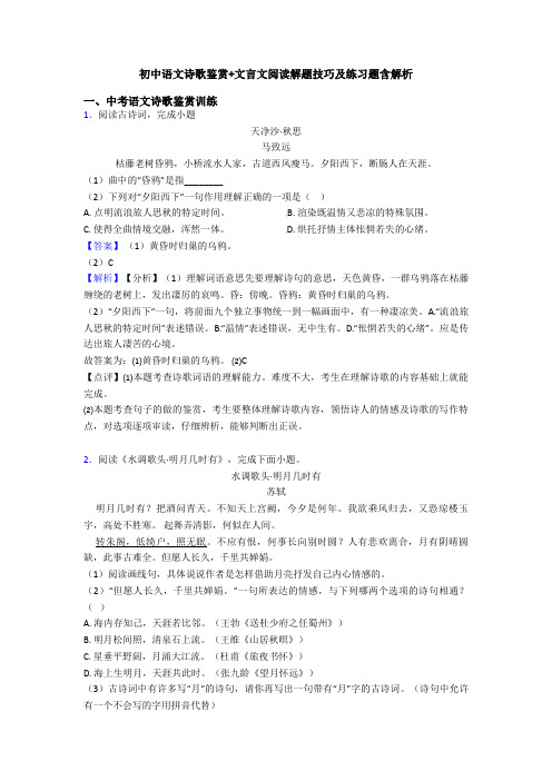 初中语文诗歌鉴赏+文言文阅读解题技巧及练习题含解析