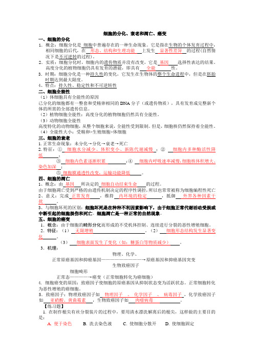 新人教版高中生物必修1《细胞的分化、衰老和凋亡、癌变》知识点整理经典练习讲解