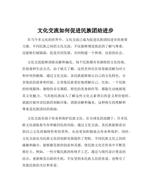 文化交流如何促进民族团结进步