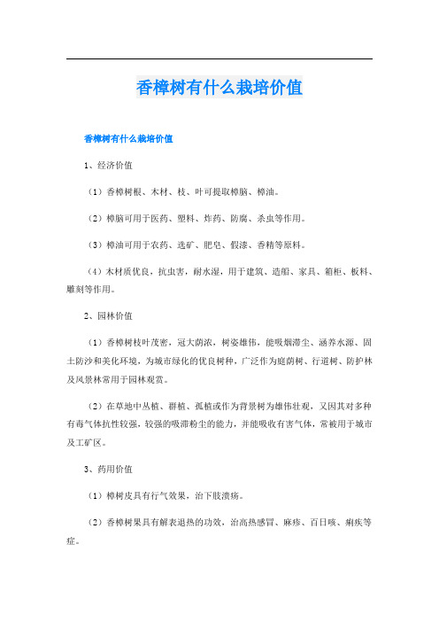 香樟树有什么栽培价值