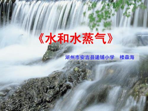 教科版小学科学三年级下册第三单元《水和水蒸气》课件PPT