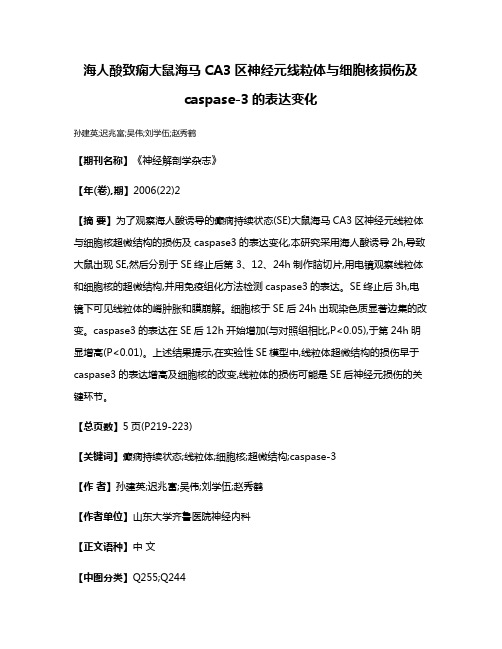 海人酸致痫大鼠海马CA3区神经元线粒体与细胞核损伤及caspase-3的表达变化