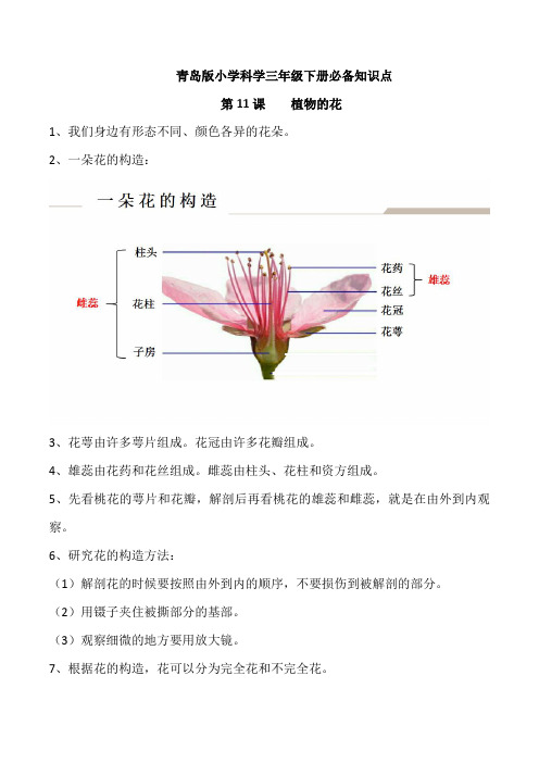 三下科学第11课-《植物的花》