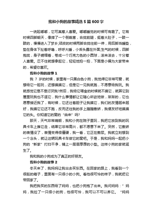 我和小狗的故事精选5篇600字