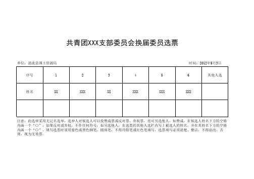 团支部换届选票1