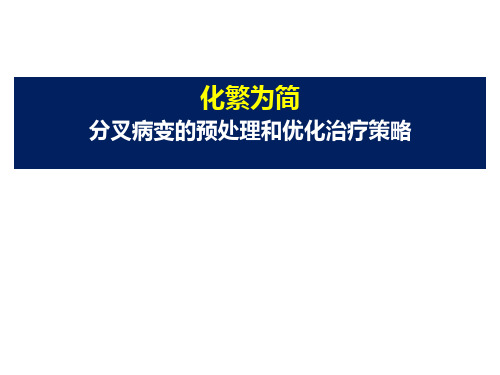 分叉病变预处理及优化策略通用版