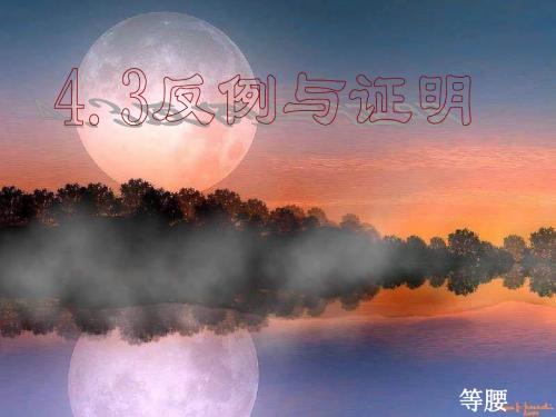 反例与证明[下学期]--浙教版1-(新编2019教材)