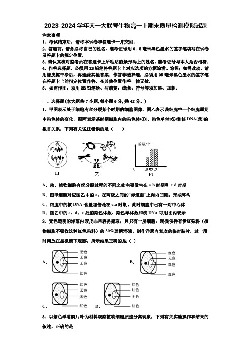 2023-2024学年天一大联考生物高一上期末质量检测模拟试题含解析