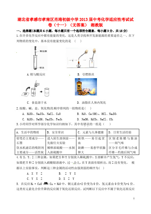 湖北省孝感市孝南区肖港初级中学中考化学适应性考试试