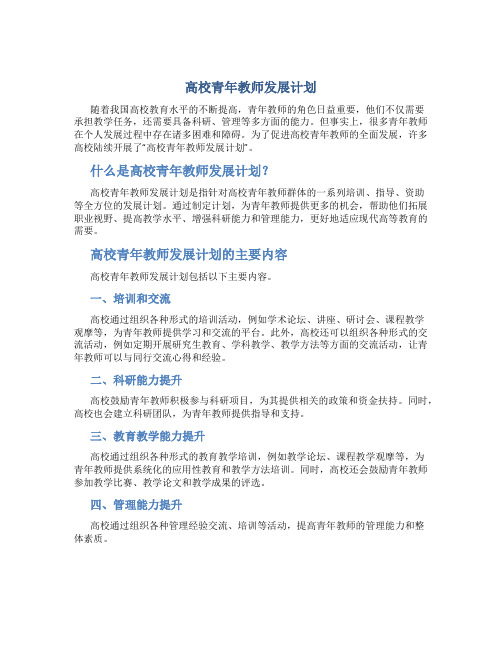 高校青年教师发展计划